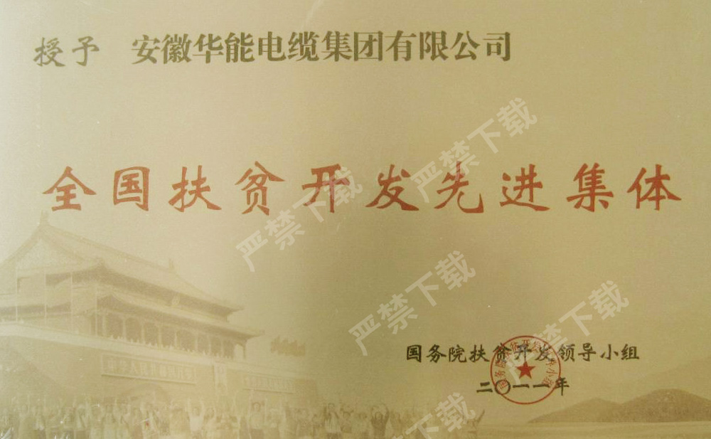 全國扶貧開發(fā)先進集體