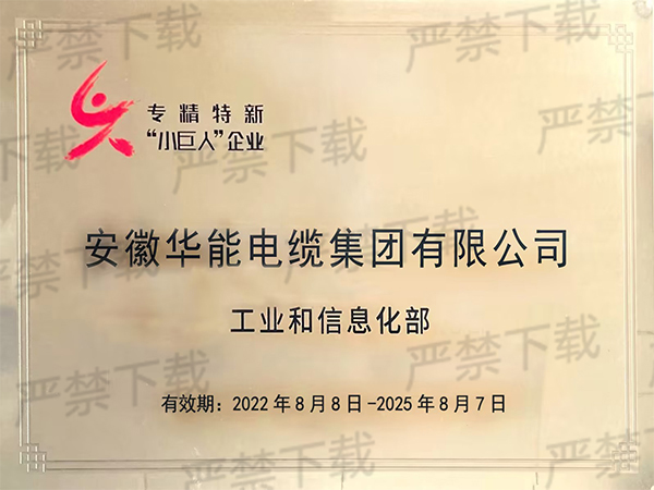 專精特新“小巨人”企業(yè)稱號
