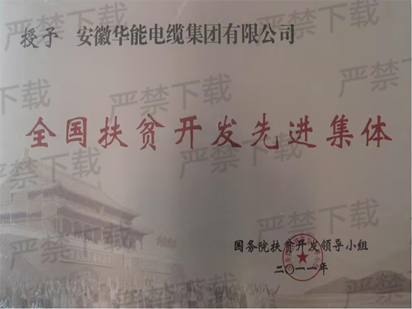 全國扶貧開發(fā)先進集體